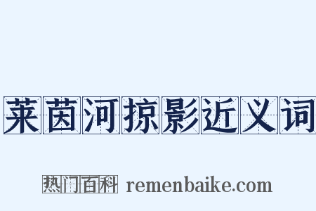 莱茵河掠影近义词是什么意思的图片